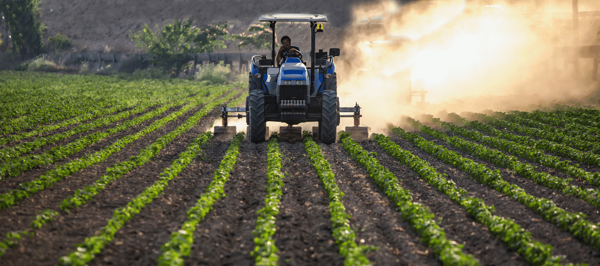 agriculture worker in the field